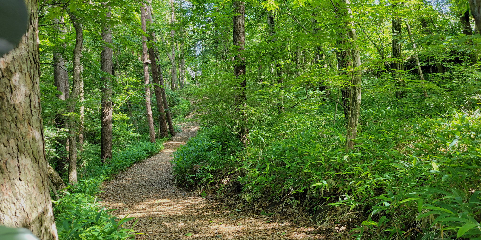 有限会社東山興業